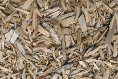 biomass boilers Padgate